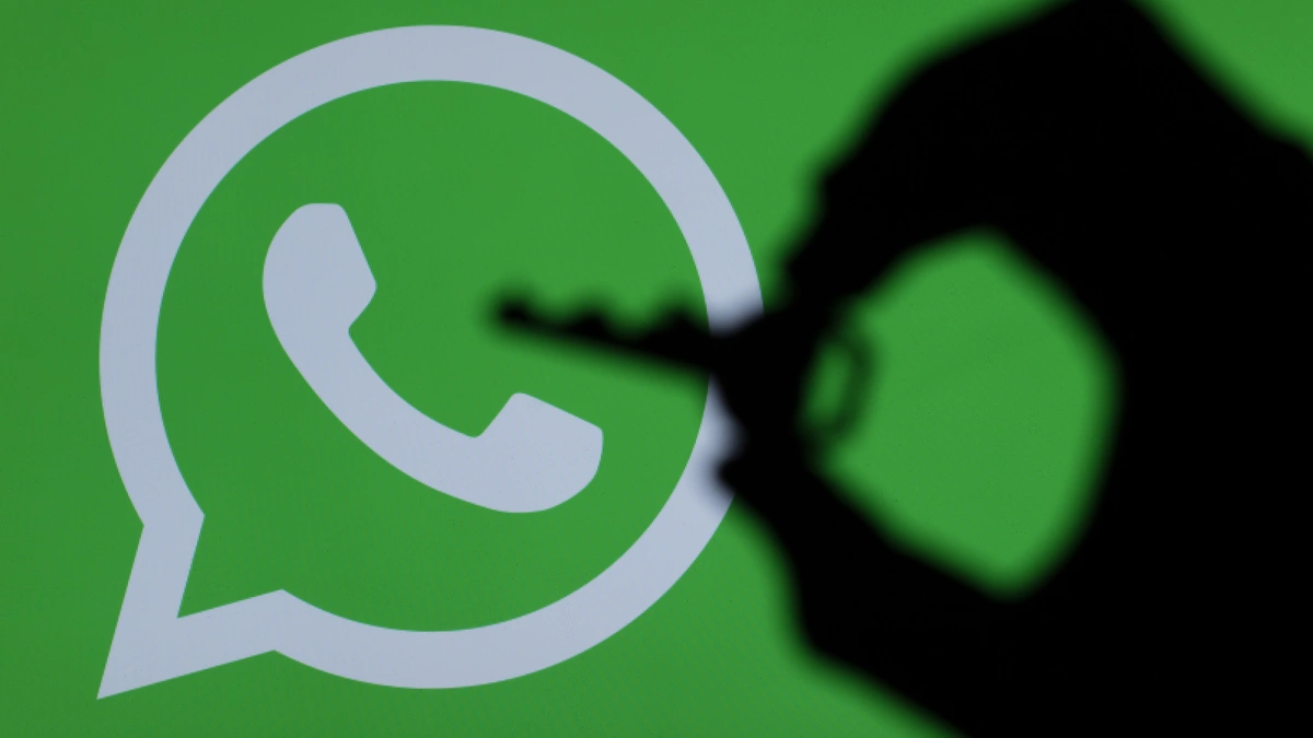 How to find users on WhatsApp? Activate WhatsApp filtering in one step.